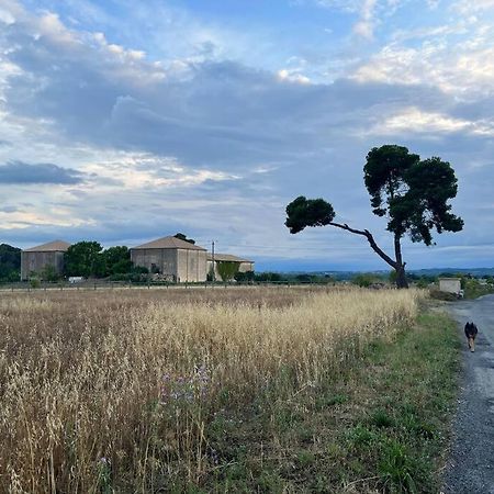 Charming Village House With Roof Top Terrace! Thezan-les-Beziers Exteriér fotografie